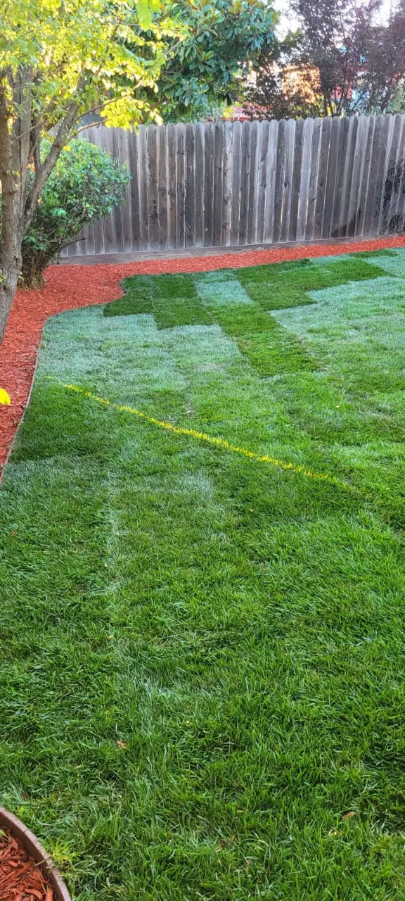 pablolandscapingmaintenanceca